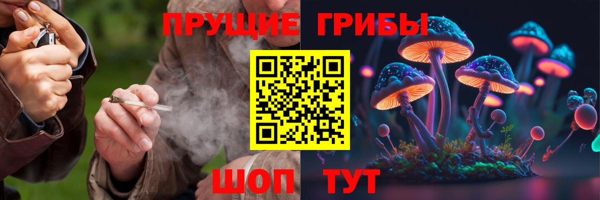Нефтекамск  Галлюциногенные грибы GOLDEN TEACHER  Вход с VPN  Галлюциногенные грибы Psilocybe 